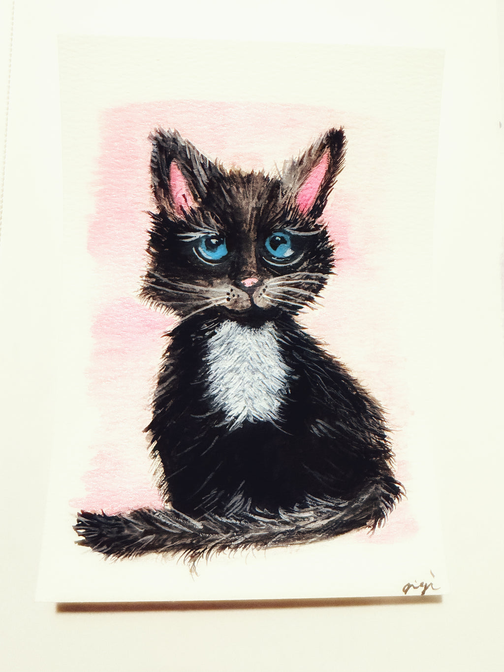 Midnight Whiskers