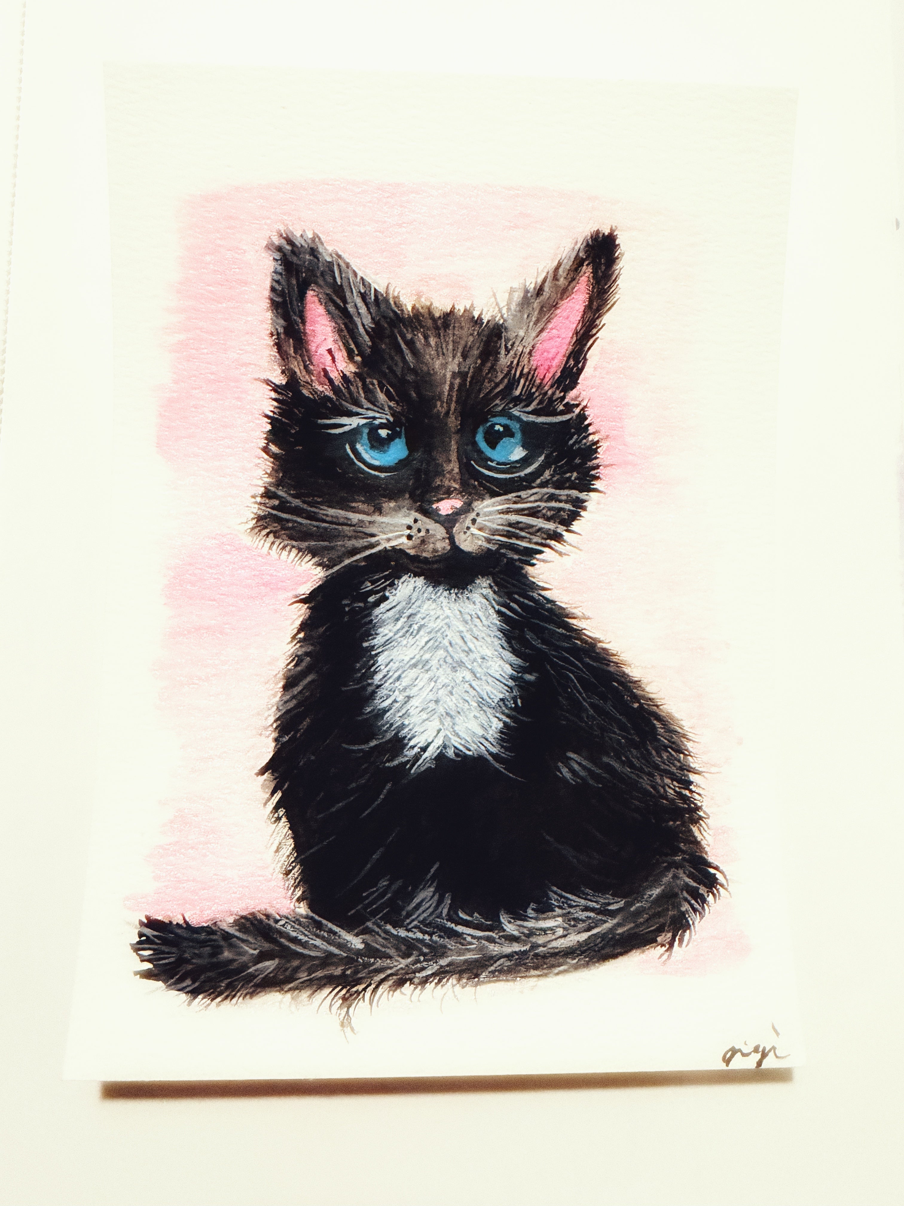 Midnight Whiskers